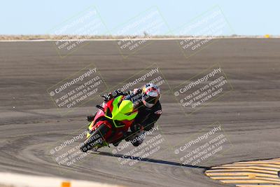 media/Jan-13-2024-SoCal Trackdays (Sat) [[9c032fe5aa]]/Bowl Exit Set 2 (1135am)/